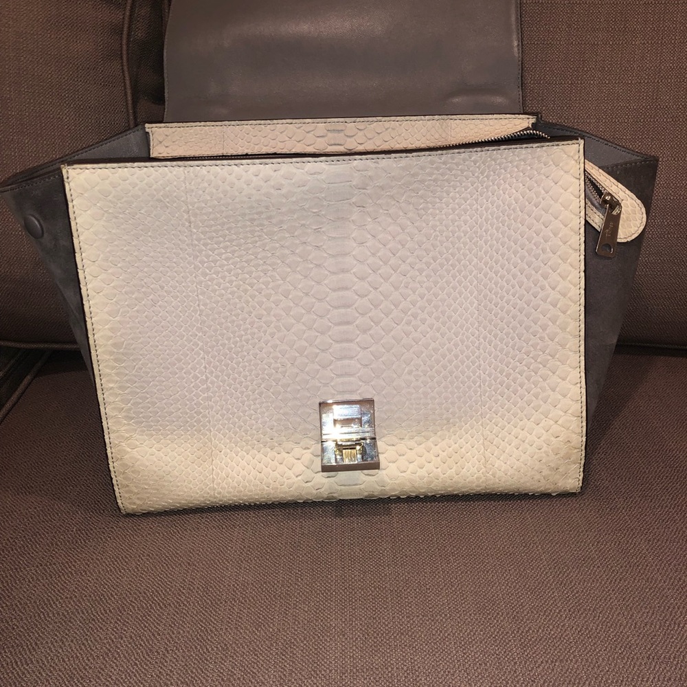 Cline Trapeze Bag With Python - image 5